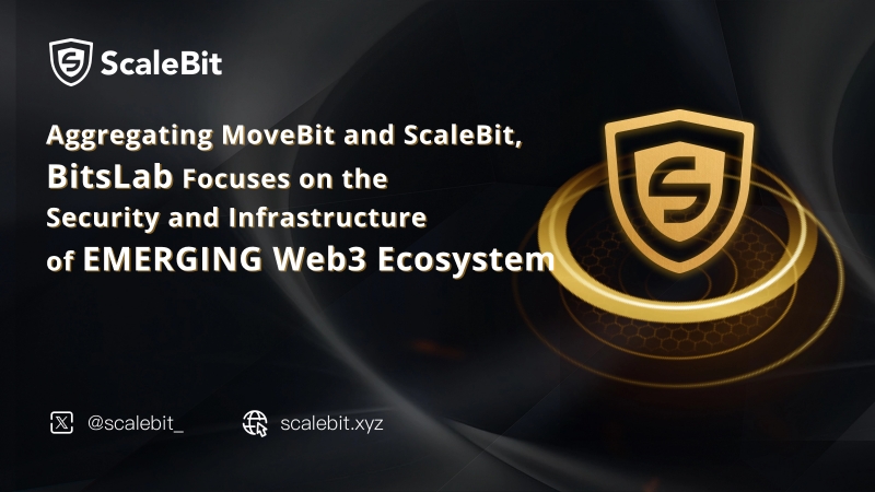 Bits Lab - ScaleBit bits-lab-scalebit